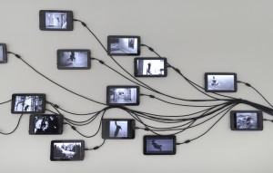 Figure 14.  Rachel Mayeri, Life Cycle of Toxoplasma Gondii (2015). Twenty-nine-screen looped video installation. Photo: Robert Weydemeyer.