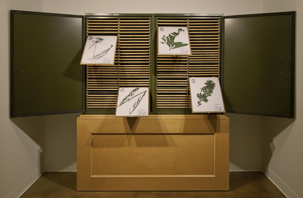 Figure 9. Jenny Yurshansky, Blacklisted: A Planted Allegory (Herbarium) (2015). 25x20x122.” Steel herbarium cabinets, MDF, wood, brass, assorted paper, 133 hand-cut silhouettes. Photo: Jenny Yurshansky.