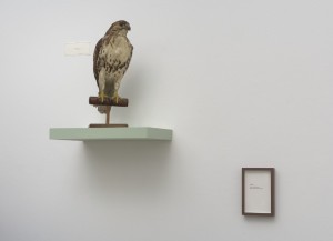 Figure 6. Left: Clare Graham (Mor’York), Stuffed Hawk (n.d.). Right: Vivian Sming, ABSENCE (2011). Installation proposal. 10 5/8x7” framed. Photo: Robert Weydemeyer.